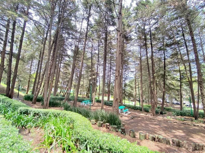 Foto 7