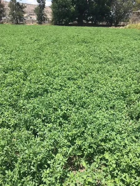 Lote en venta · Santa María Nativitas, Colón, Querétaro
