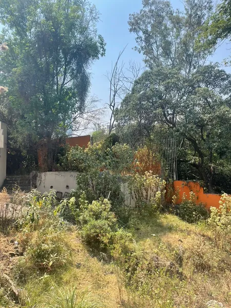 Lote en venta · Lomas Altas, Miguel Hidalgo, Ciudad de México