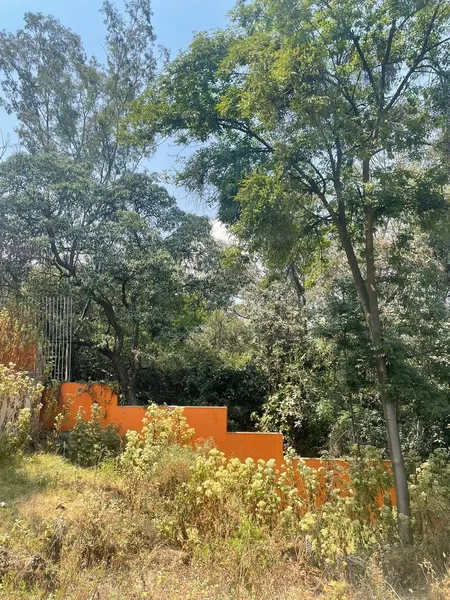 Lote en venta · Lomas Altas, Miguel Hidalgo, Ciudad de México