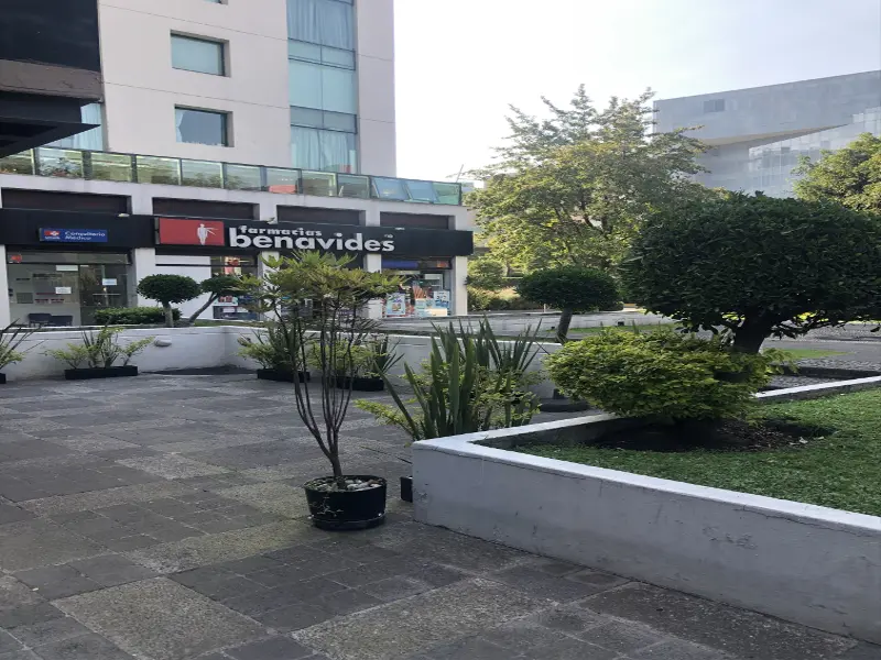 Comercio en venta · Santa Fe, Álvaro Obregón, Ciudad de México Comercio en venta · Santa Fe, Álvaro Obregón, Ciudad de México