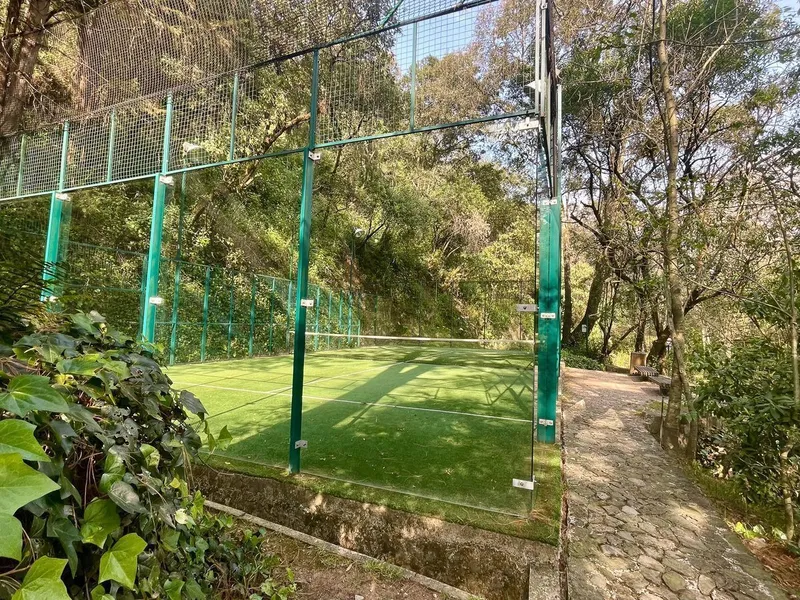 Foto 7
