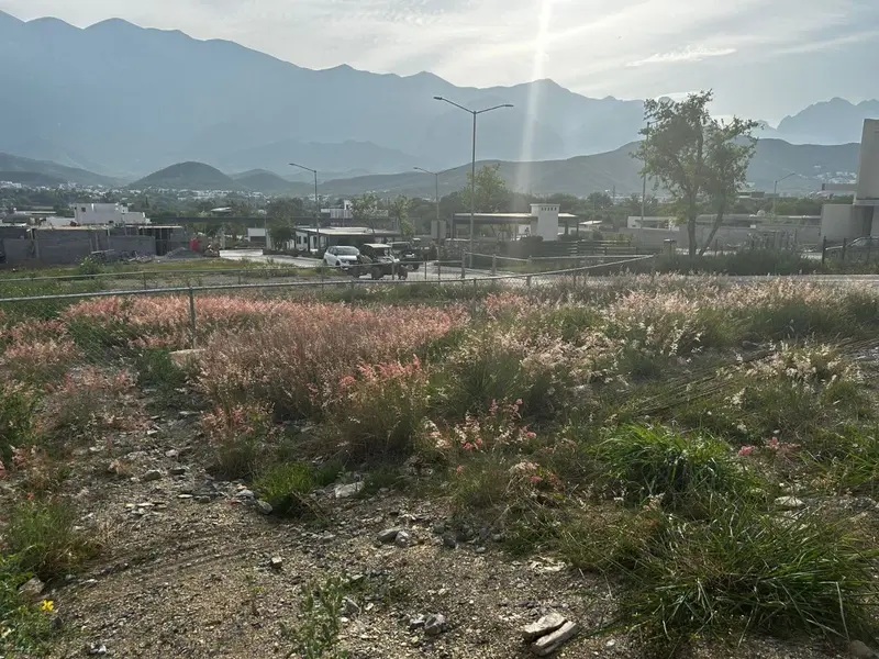 Foto 9