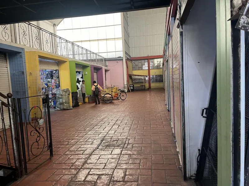 Foto 15