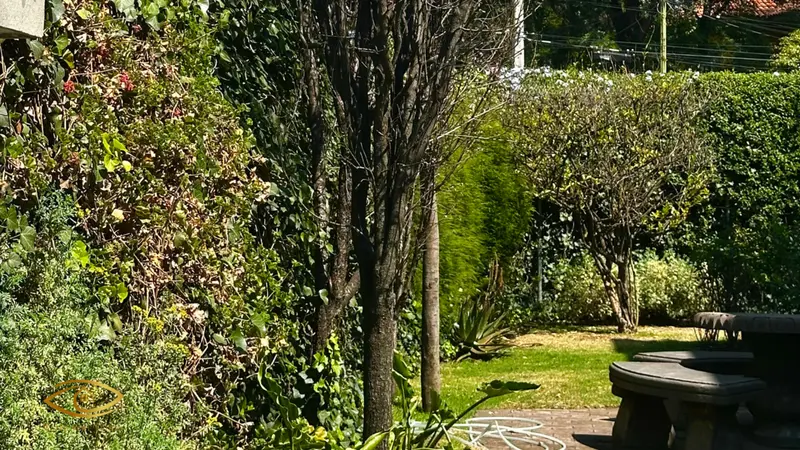 Foto 20