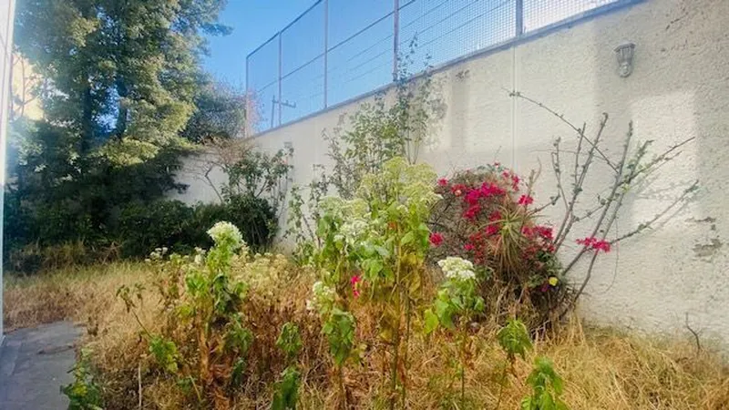 Foto 11
