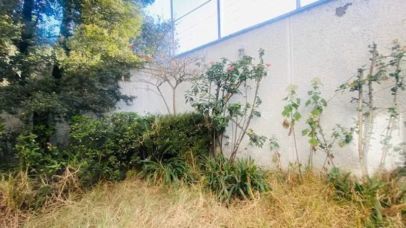 Foto 9