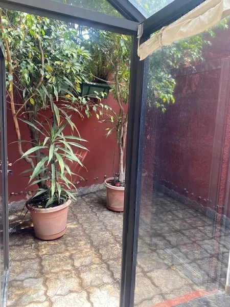 Foto 19