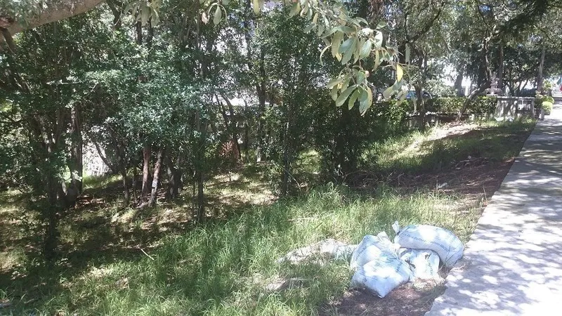 Foto 7