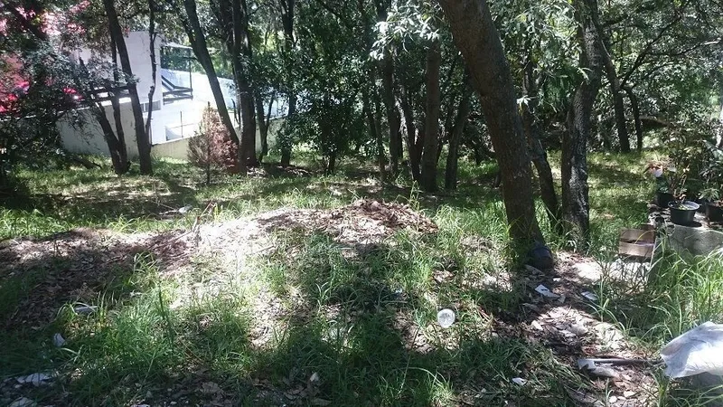 Foto 3