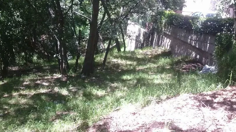 Foto 8
