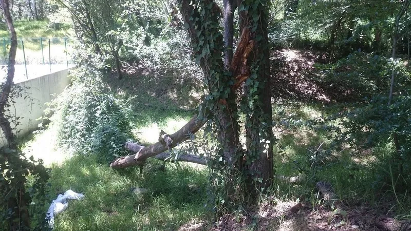 Foto 6