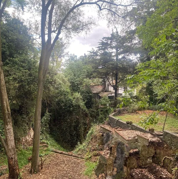 Foto 12
