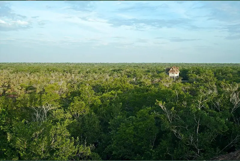 Foto 4