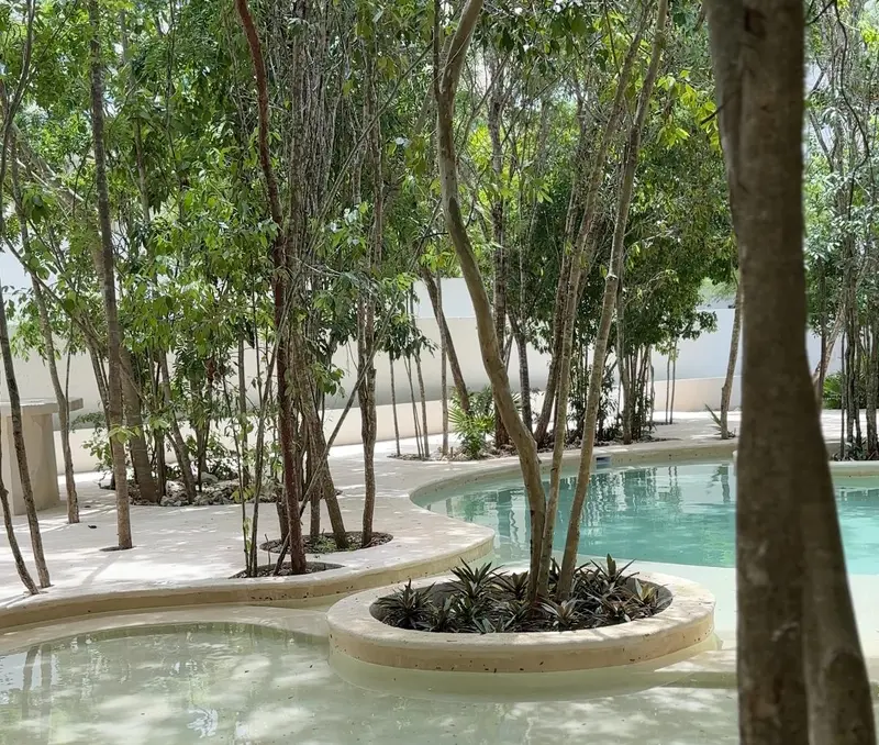 Emprendimiento en venta · Juárez, Cancún, Benito Juárez, Quintana Roo Emprendimiento en venta · Juárez, Cancún, Benito Juárez, Quintana Roo