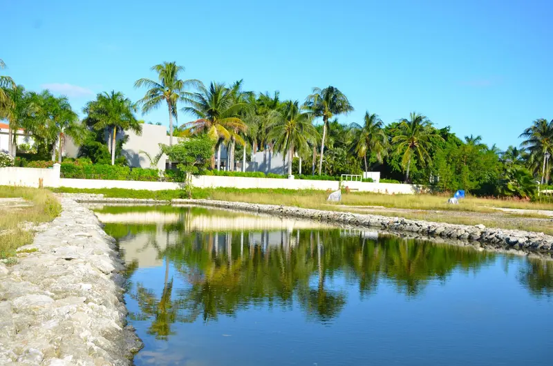 Lote en venta · Juárez, Cancún, Benito Juárez, Quintana Roo Lote en venta · Juárez, Cancún, Benito Juárez, Quintana Roo