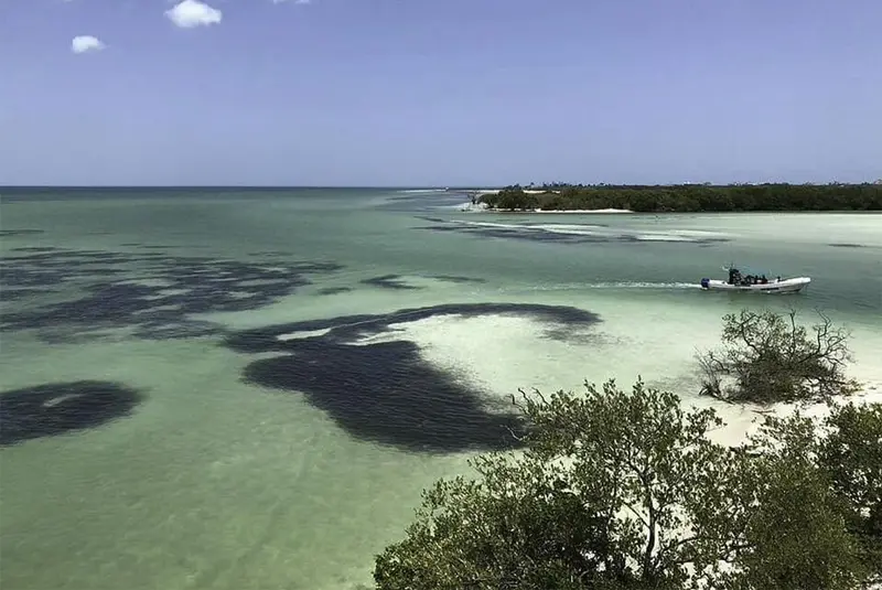 Lote en venta · Isla de Holbox, Lázaro Cárdenas, Quintana Roo