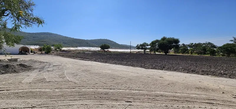 Foto 46