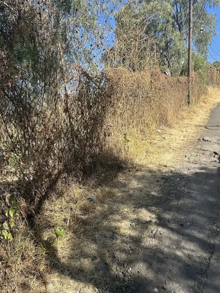 Casa en venta · San Gregorio Atlapulco, Xochimilco, Ciudad de México Casa en venta · San Gregorio Atlapulco, Xochimilco, Ciudad de México