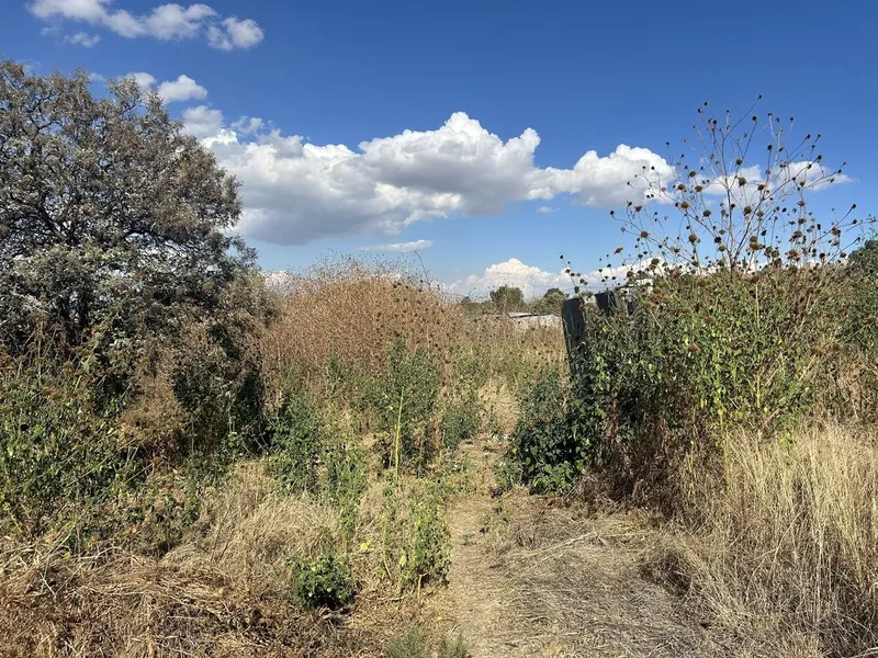 Casa en venta · San Gregorio Atlapulco, Xochimilco, Ciudad de México Casa en venta · San Gregorio Atlapulco, Xochimilco, Ciudad de México