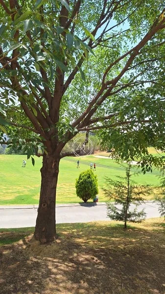 Lote en venta · Bosque Real, Huixquilucan, Estado de México