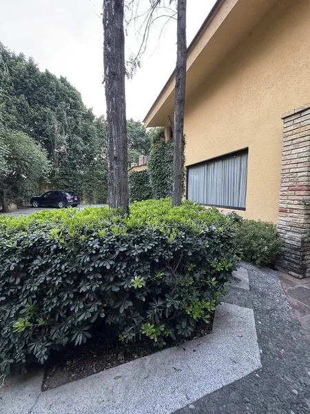 Foto 19
