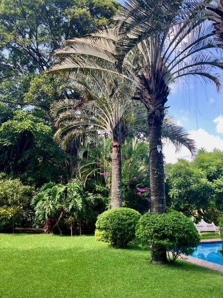 Casa en venta · Manantiales, Cuernavaca, Morelos