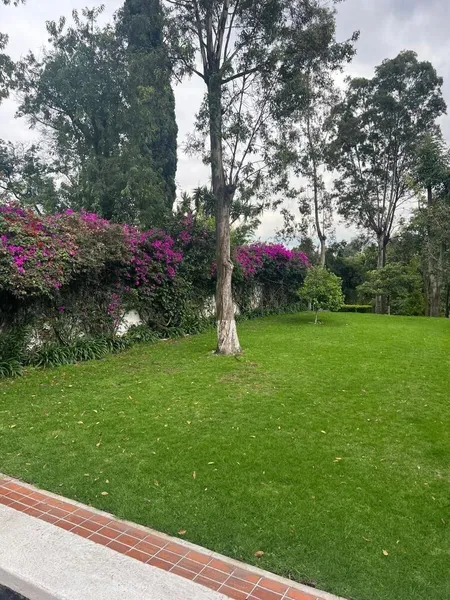Foto 23
