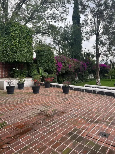 Foto 21