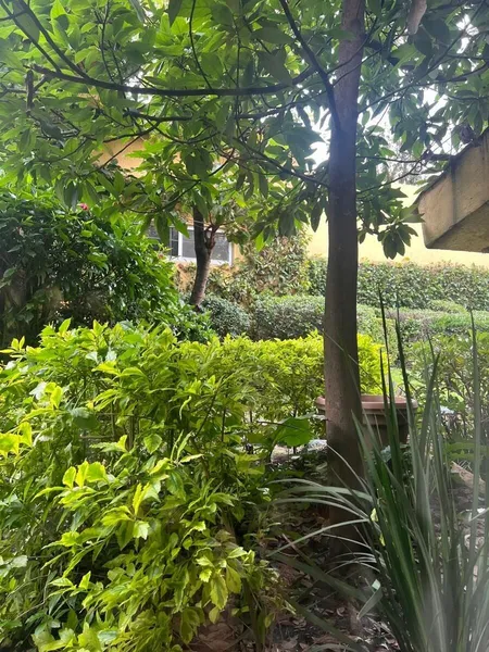Casa en venta · Lomas Hipódromo, Naucalpan de Juárez, Estado de México