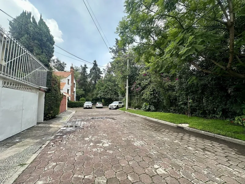 Foto 11