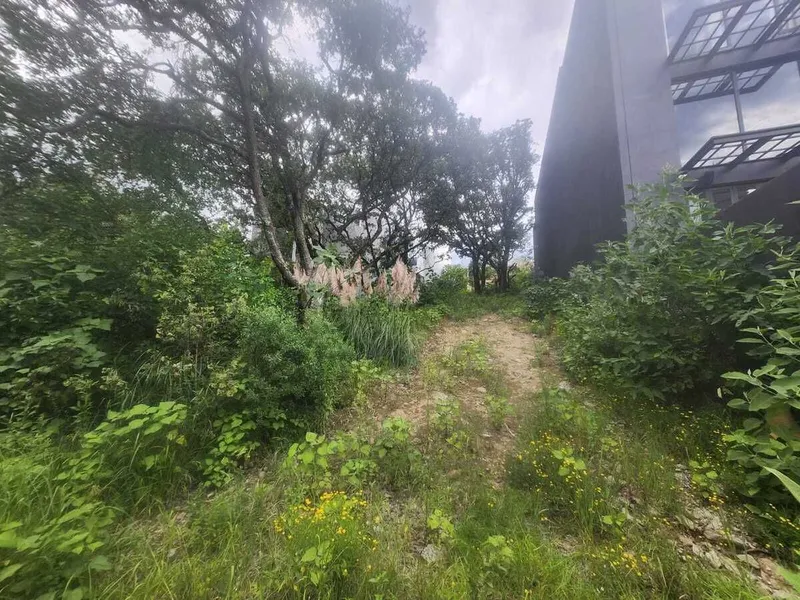 Lote en venta · Bosque Real, Huixquilucan, Estado de México