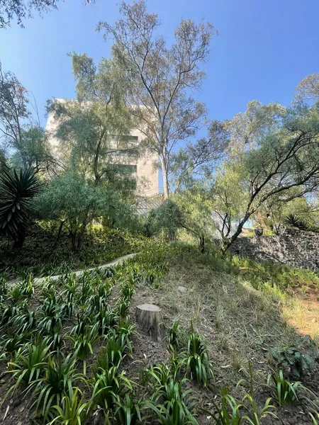 Foto 36