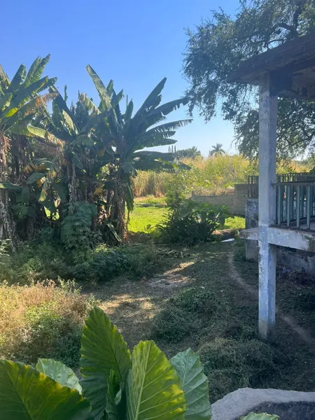 Foto 19