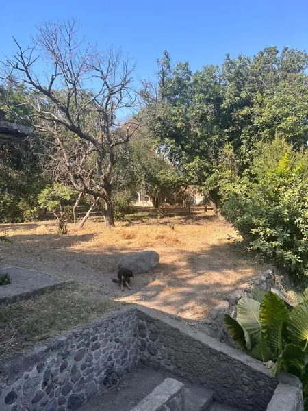 Foto 15