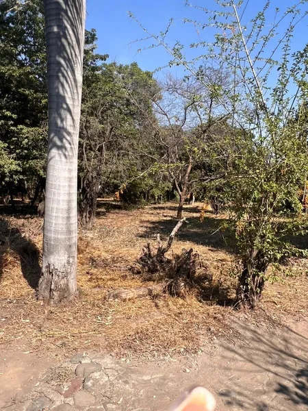 Foto 12