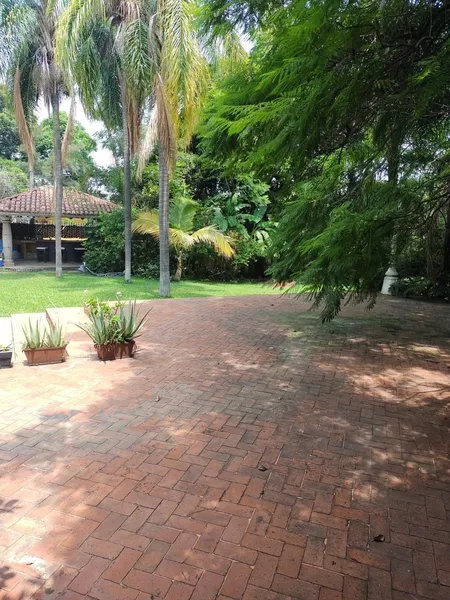 Foto 10