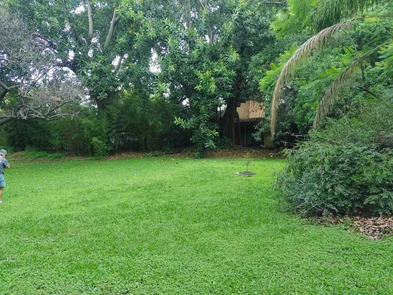 Casa en venta · Jardines de Delicias, Cuernavaca, Morelos