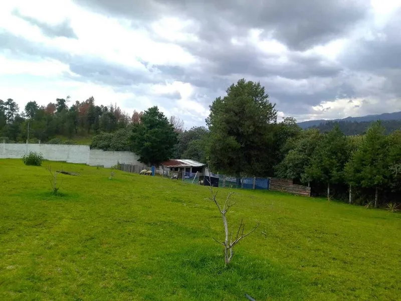 Foto 7