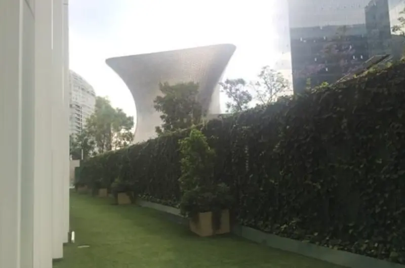 Foto 11