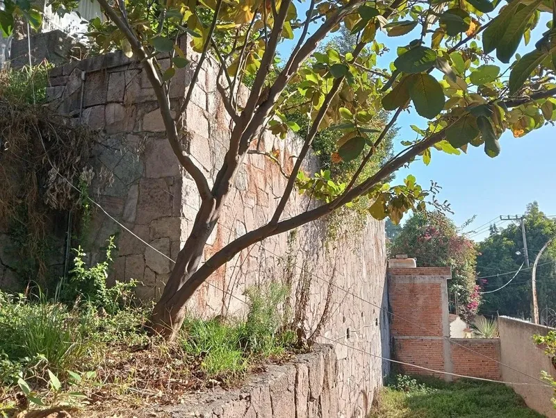 Foto 18