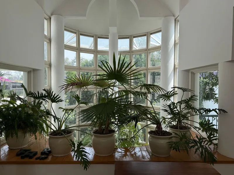 Foto 7