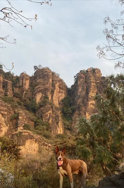 Lote en venta · Tepoztlán Centro, Tepoztlán, Morelos