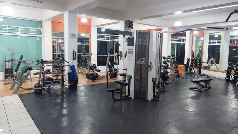 Foto 5