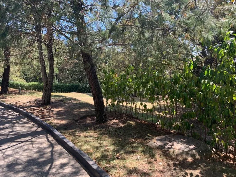 Lote en venta · Ampliación El Yaqui, El Yaqui, Cuajimalpa de Morelos, Ciudad de México