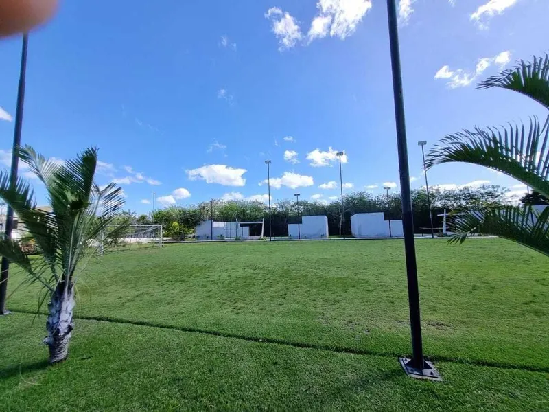Foto 11