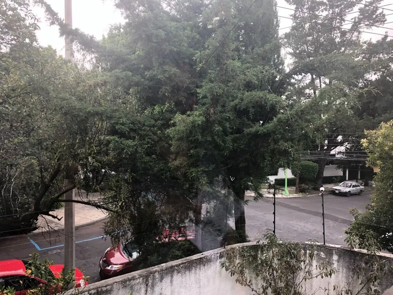 Foto 15