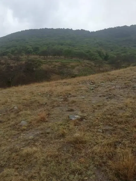 Lote en venta · Chitejé de la Cruz, Amealco de Bonfil, Querétaro
