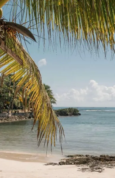 Departamento en venta · Akumal, Tulum, Quintana Roo