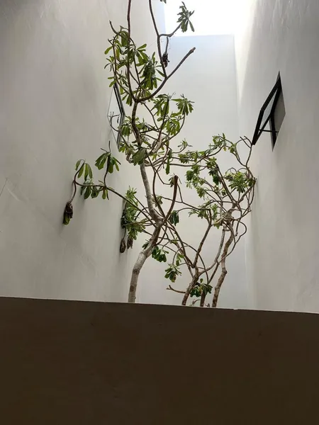 Foto 21